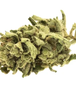 Monkey Glue-1oz