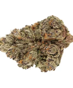 sunset sherbet