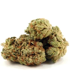 Cherry Burst-1oz